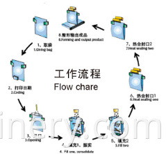 Liquid Paste Bag-given Automatic Packing Machine